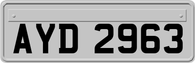 AYD2963