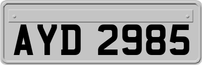 AYD2985