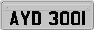 AYD3001