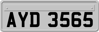 AYD3565