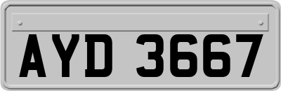 AYD3667