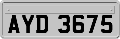 AYD3675