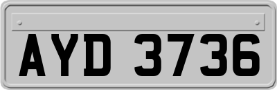 AYD3736
