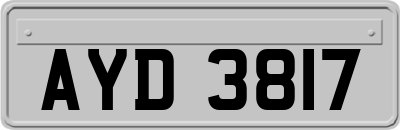 AYD3817
