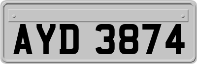 AYD3874