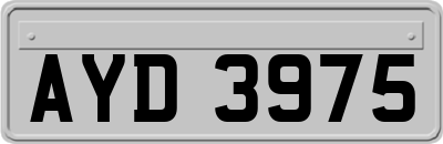 AYD3975