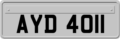 AYD4011