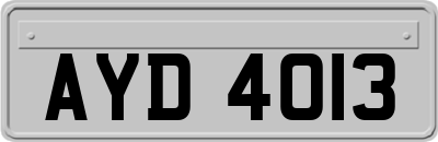 AYD4013