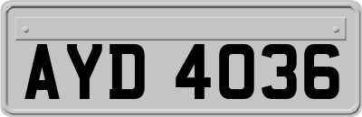 AYD4036