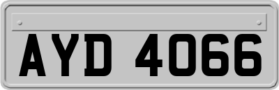 AYD4066