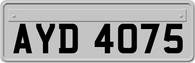 AYD4075