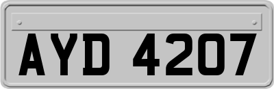 AYD4207