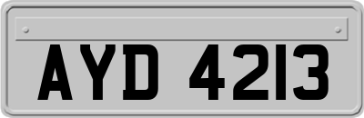 AYD4213