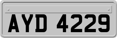 AYD4229