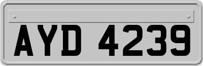 AYD4239