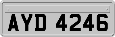 AYD4246