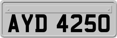 AYD4250