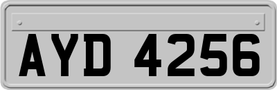 AYD4256