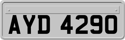 AYD4290