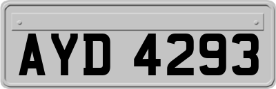 AYD4293