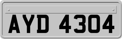 AYD4304