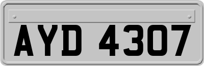 AYD4307