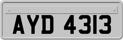 AYD4313