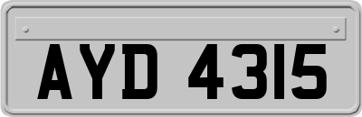 AYD4315