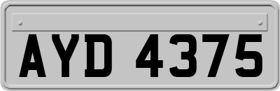 AYD4375