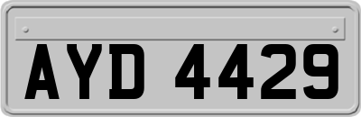 AYD4429