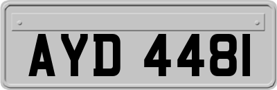 AYD4481