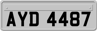AYD4487