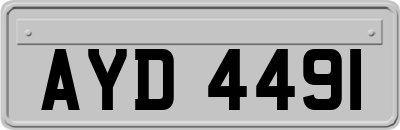 AYD4491
