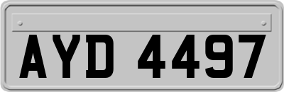 AYD4497