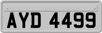 AYD4499