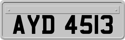 AYD4513