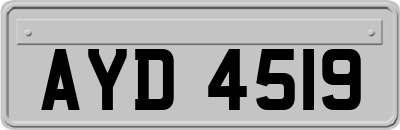AYD4519