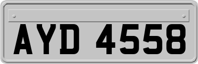 AYD4558
