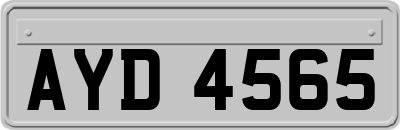AYD4565