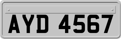 AYD4567