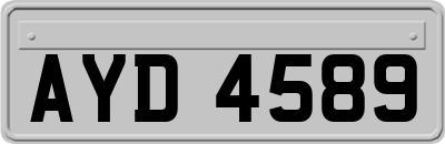 AYD4589