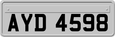 AYD4598