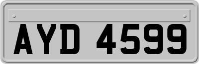 AYD4599