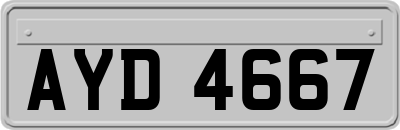 AYD4667
