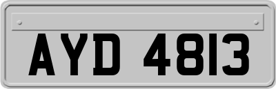 AYD4813