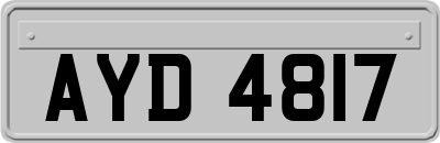 AYD4817