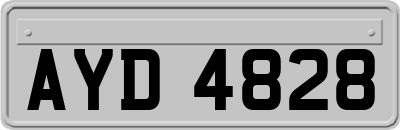 AYD4828