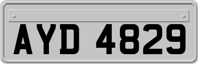 AYD4829