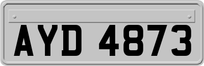 AYD4873