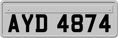 AYD4874